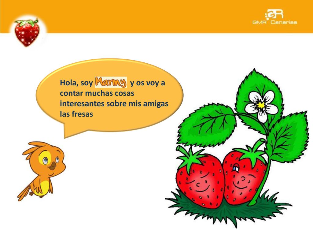 Hola, soy y os voy a contar muchas cosas interesantes sobre mis amigas las fresas