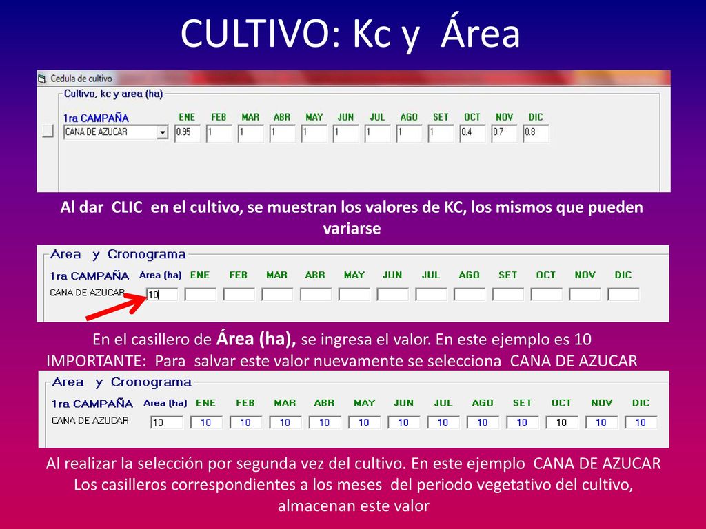 CULTIVO: Kc y Área Al dar CLIC en el cultivo, se muestran los valores de KC, los mismos que pueden variarse.