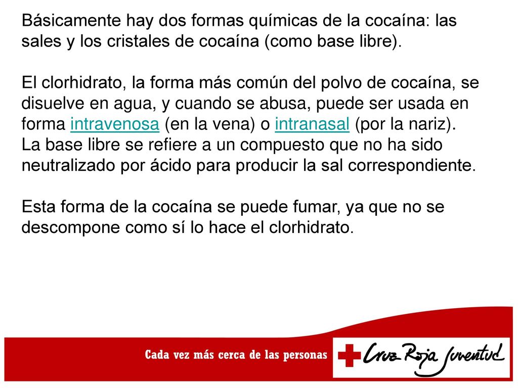 Básicamente hay dos formas químicas de la cocaína: las sales y los cristales de cocaína (como base libre).