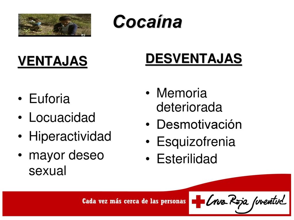 Cocaína DESVENTAJAS VENTAJAS Memoria deteriorada Euforia Locuacidad