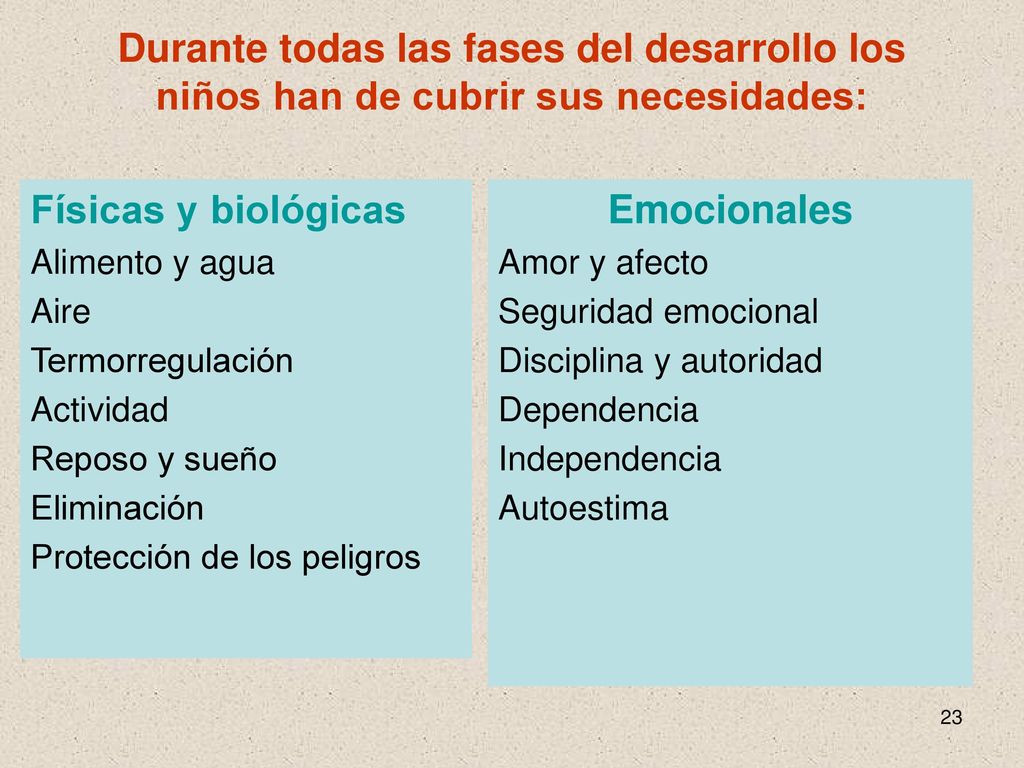 Durante todas las fases del desarrollo los niños han de cubrir sus necesidades: