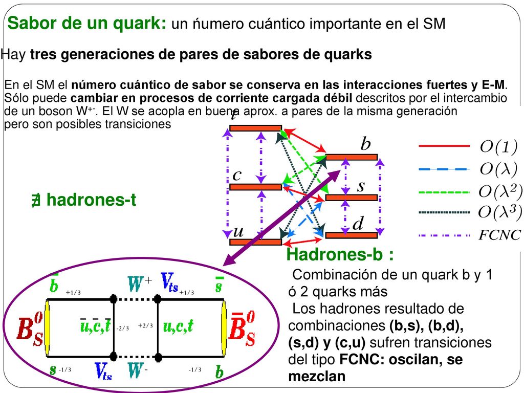 - - - Sabor de un quark: un ńumero cuántico importante en el SM