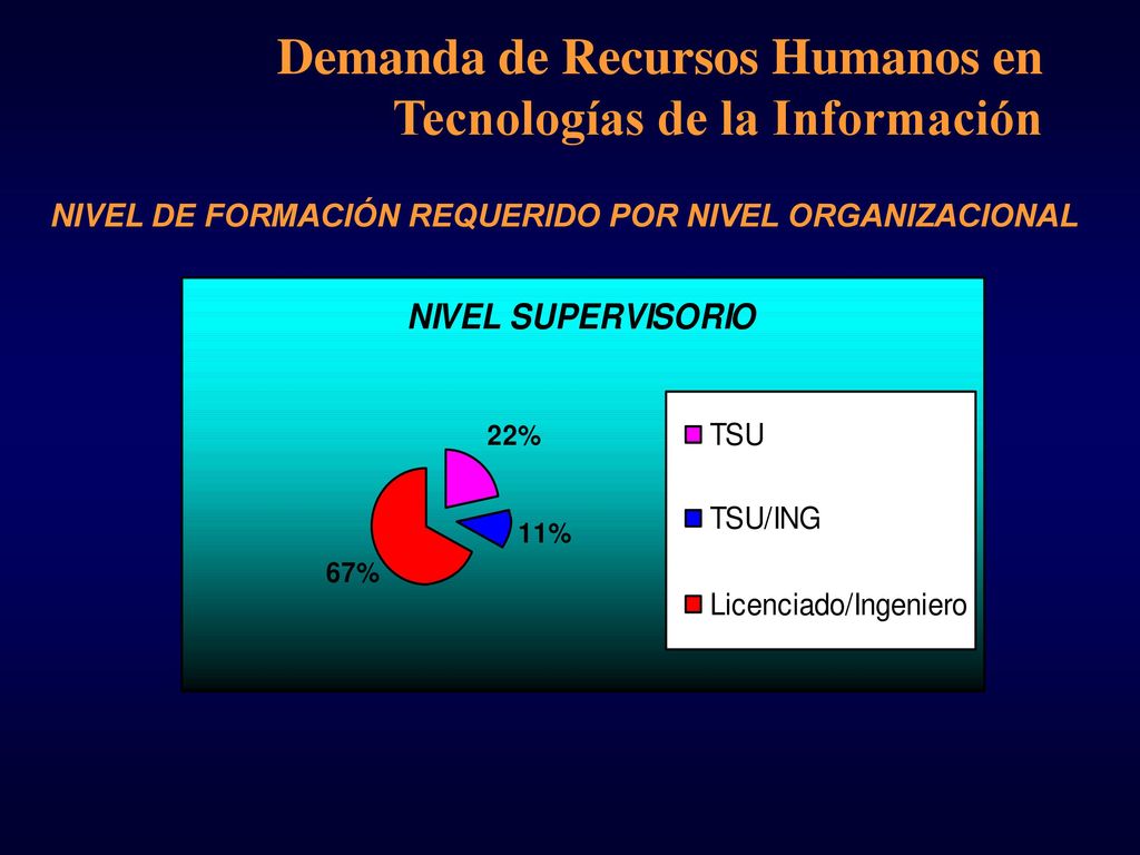 Demanda de Recursos Humanos en Tecnologías de la Información