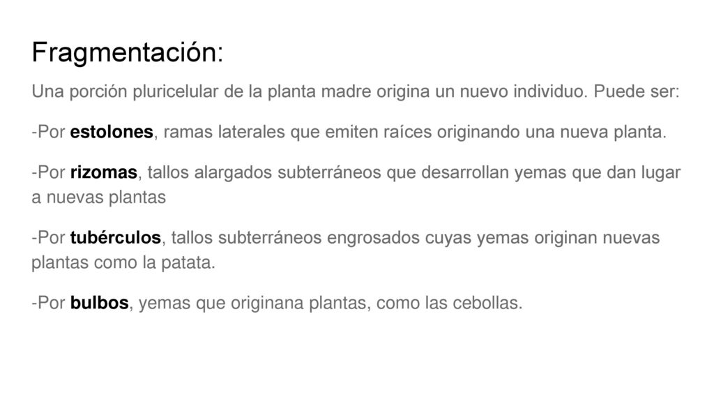 Fragmentación: Una porción pluricelular de la planta madre origina un nuevo individuo. Puede ser: