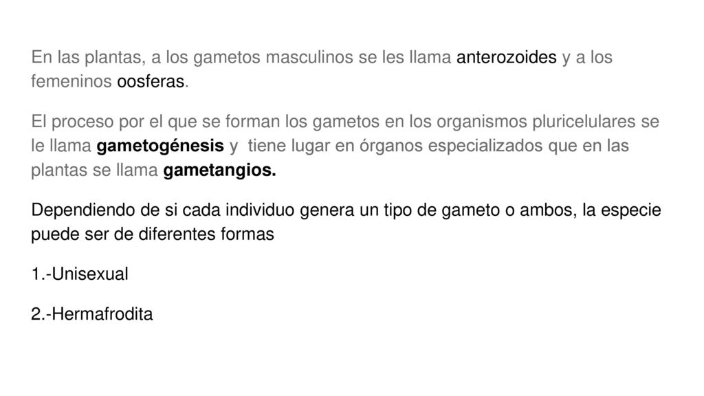 En las plantas, a los gametos masculinos se les llama anterozoides y a los femeninos oosferas.