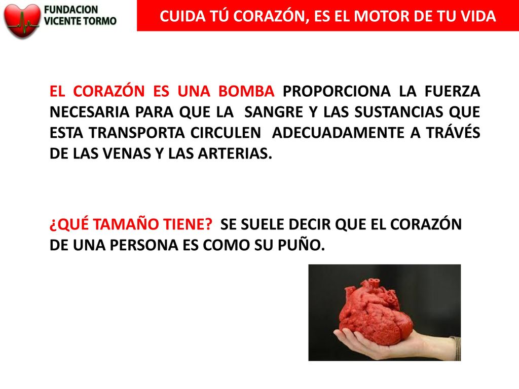 CUIDA TÚ CORAZÓN, ES EL MOTOR DE TU VIDA