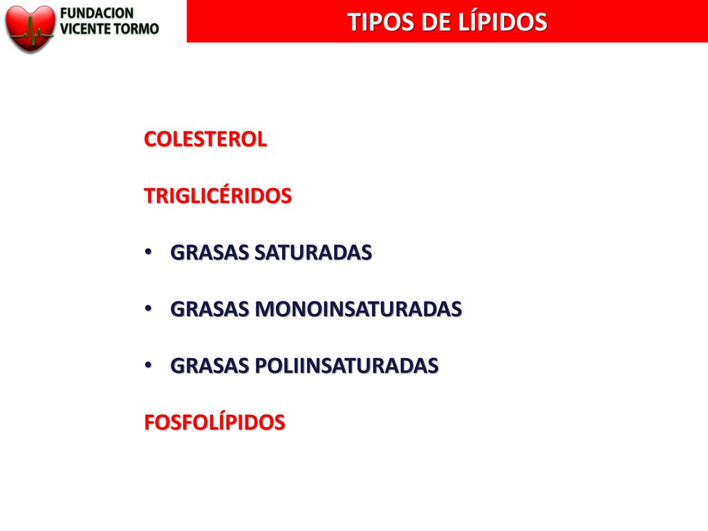 TIPOS DE LÍPIDOS COLESTEROL TRIGLICÉRIDOS GRASAS SATURADAS
