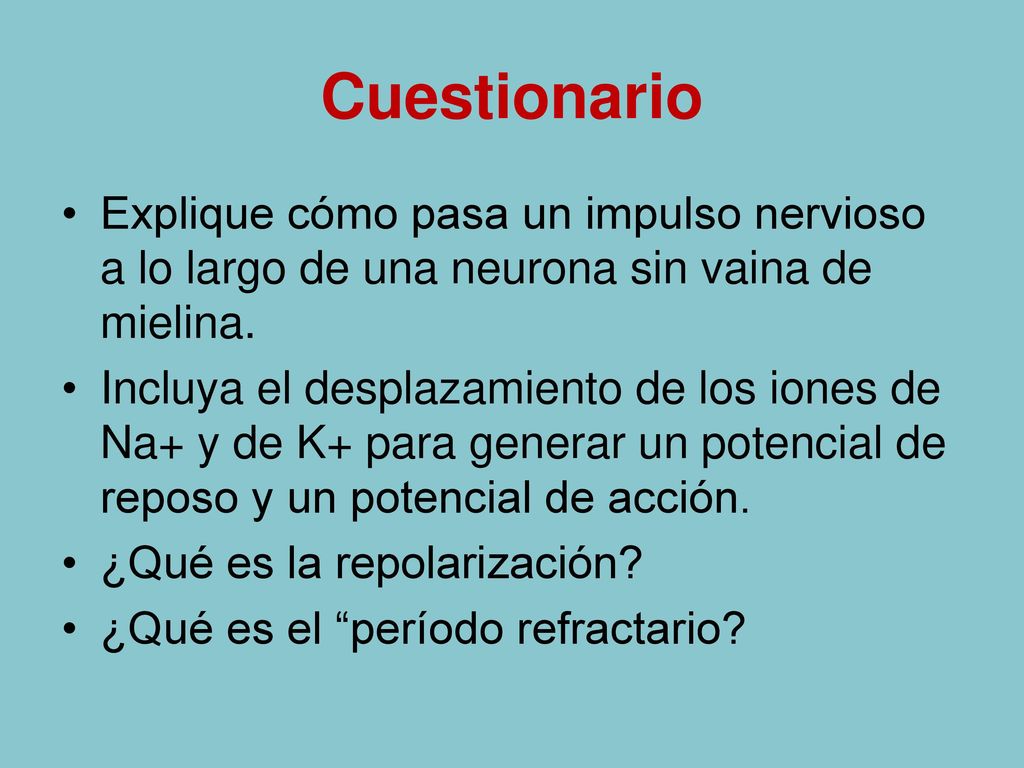 Cuestionario Explique cómo pasa un impulso nervioso a lo largo de una neurona sin vaina de mielina.