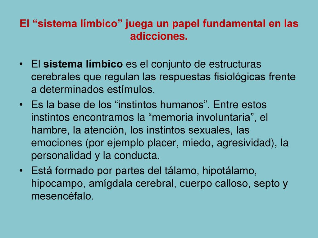 El sistema límbico juega un papel fundamental en las adicciones.