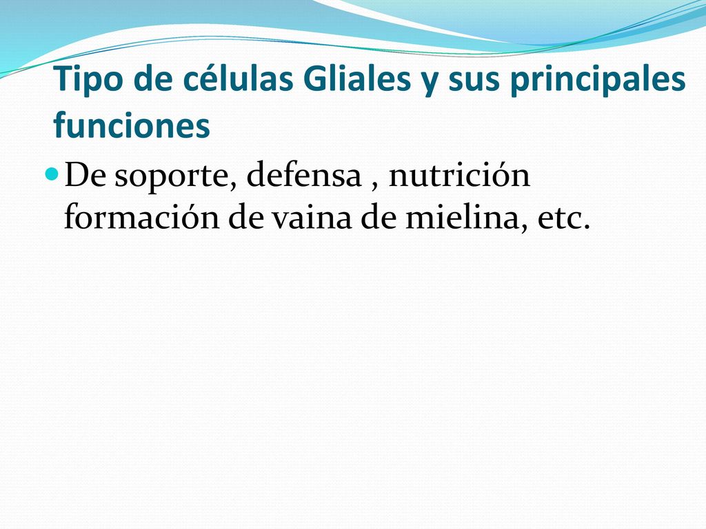 Tipo de células Gliales y sus principales funciones