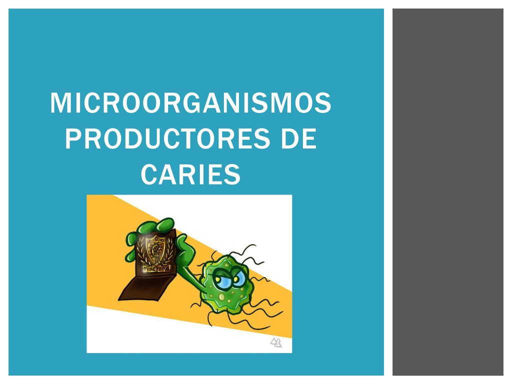 Microorganismos productores de caries