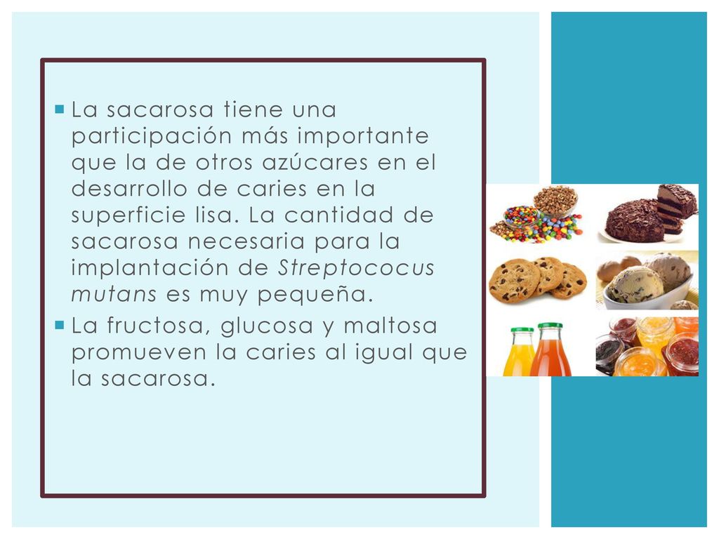 La sacarosa tiene una participación más importante que la de otros azúcares en el desarrollo de caries en la superficie lisa. La cantidad de sacarosa necesaria para la implantación de Streptococus mutans es muy pequeña.