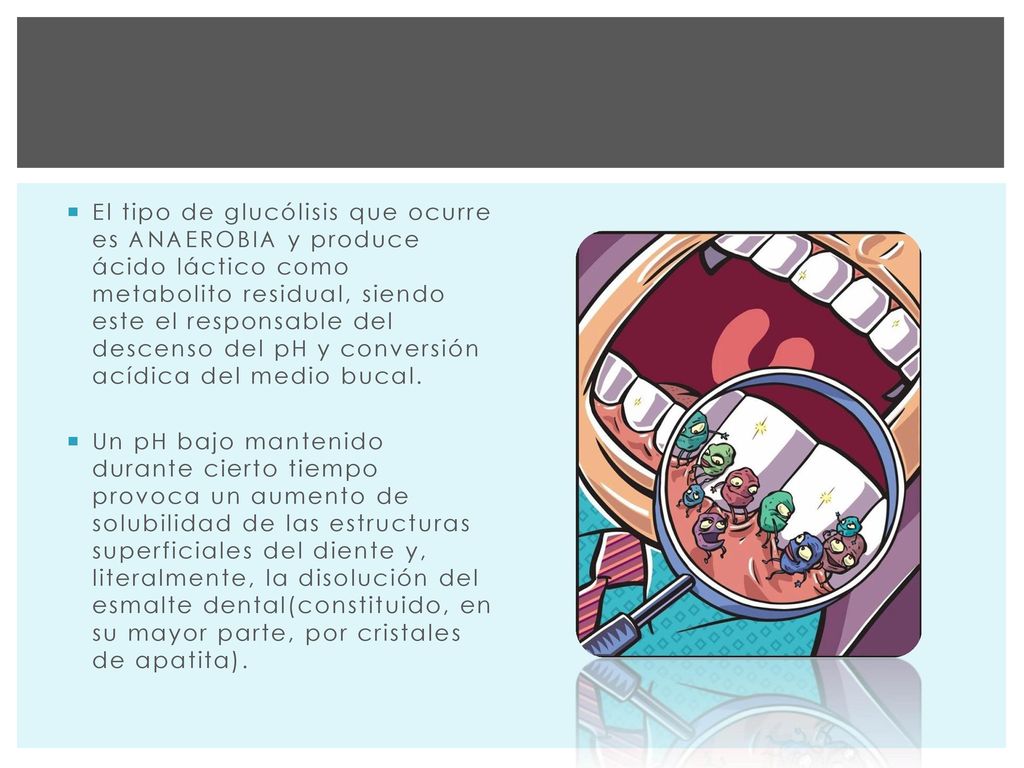 El tipo de glucólisis que ocurre es ANAEROBIA y produce ácido láctico como metabolito residual, siendo este el responsable del descenso del pH y conversión acídica del medio bucal.