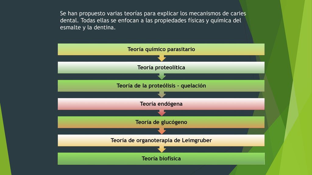 Se han propuesto varias teorías para explicar los mecanismos de caries dental. Todas ellas se enfocan a las propiedades físicas y química del esmalte y la dentina.