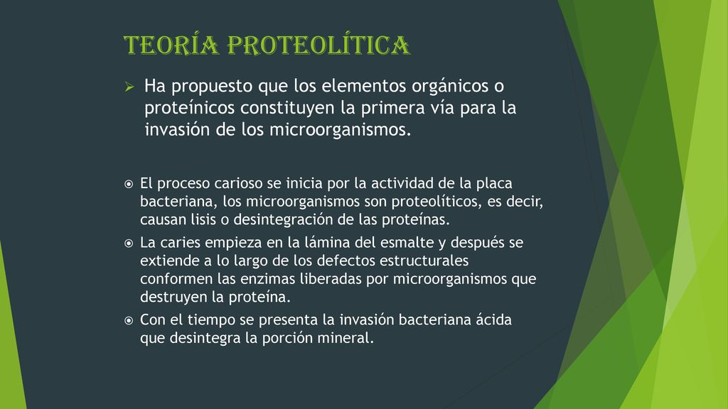 TEORÍA PROTEOLÍTICA Ha propuesto que los elementos orgánicos o proteínicos constituyen la primera vía para la invasión de los microorganismos.