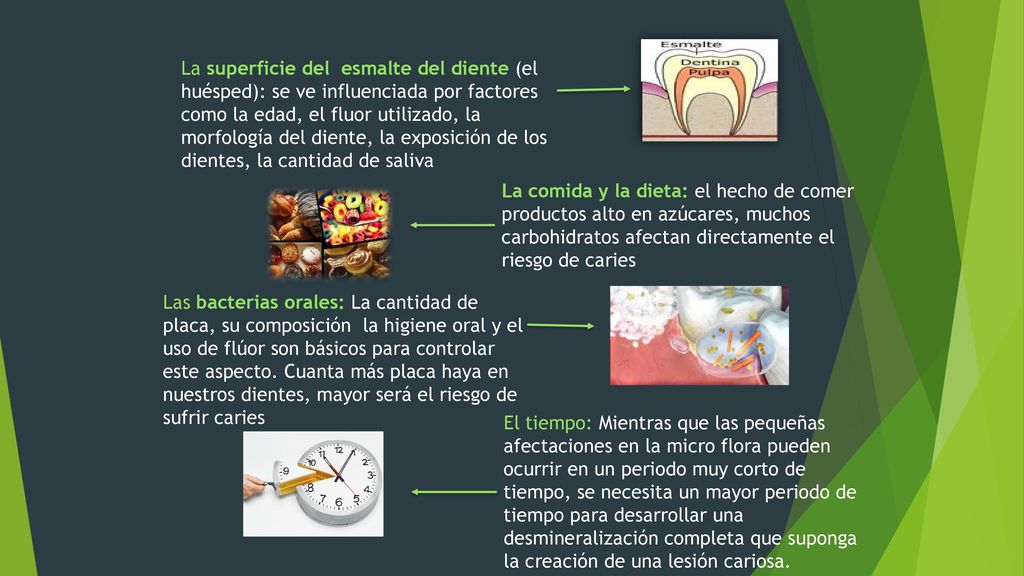 La superficie del esmalte del diente (el huésped): se ve influenciada por factores como la edad, el fluor utilizado, la morfología del diente, la exposición de los dientes, la cantidad de saliva