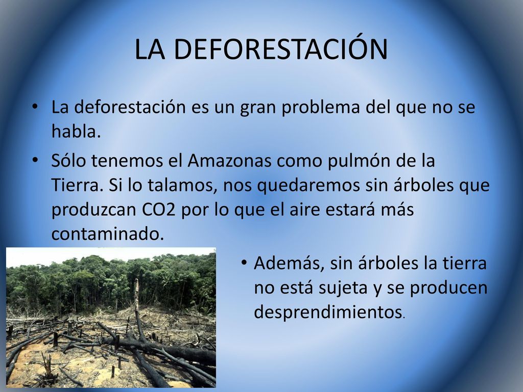 LA DEFORESTACIÓN La deforestación es un gran problema del que no se habla.