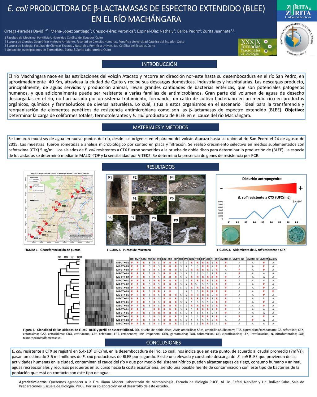 E. coli PRODUCTORA DE β-LACTAMASAS DE ESPECTRO EXTENDIDO (BLEE) EN EL RÍO MACHÁNGARA