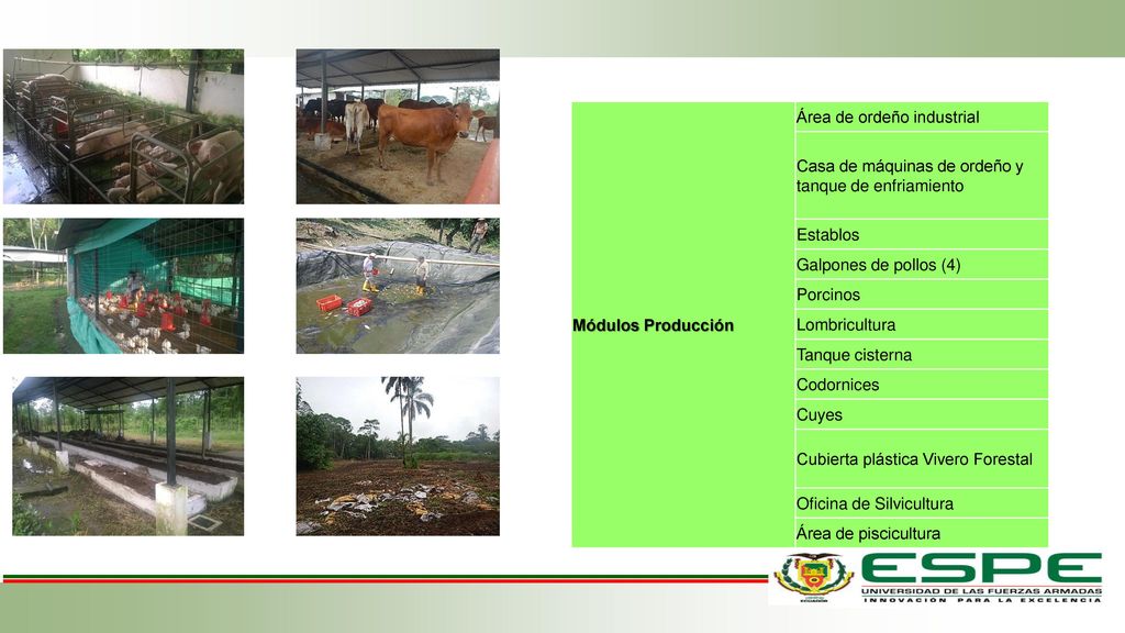 Módulos Producción Área de ordeño industrial. Casa de máquinas de ordeño y tanque de enfriamiento.