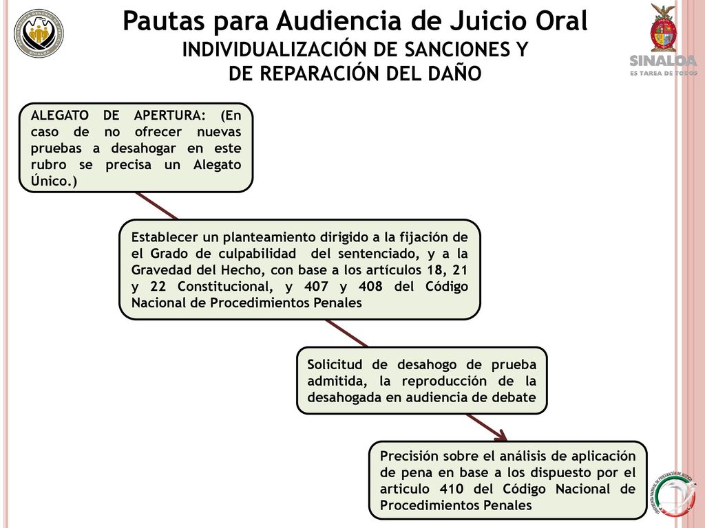 Pautas para Audiencia de Juicio Oral INDIVIDUALIZACIÓN DE SANCIONES Y