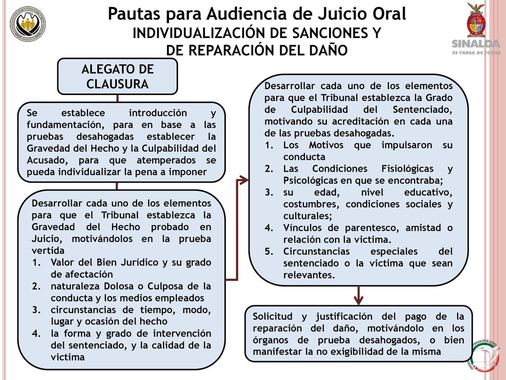 Pautas para Audiencia de Juicio Oral INDIVIDUALIZACIÓN DE SANCIONES Y