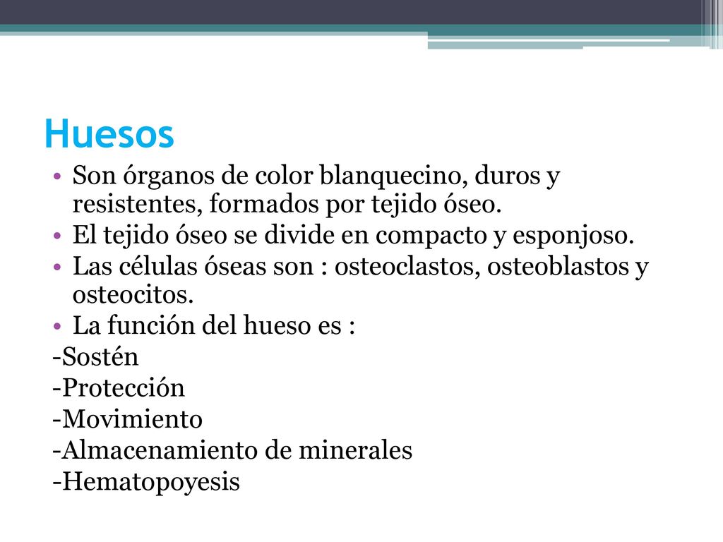 Huesos Son órganos de color blanquecino, duros y resistentes, formados por tejido óseo. El tejido óseo se divide en compacto y esponjoso.