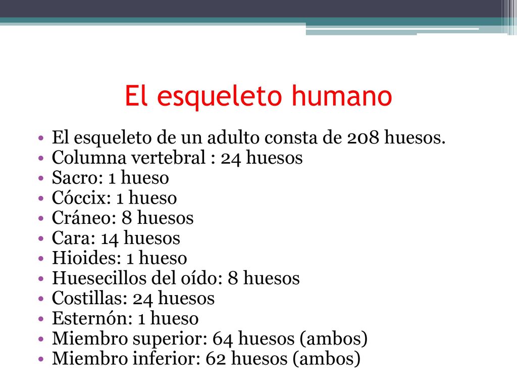 El esqueleto humano El esqueleto de un adulto consta de 208 huesos.