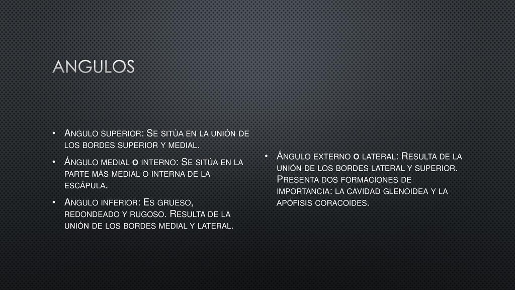 Angulos Angulo superior: Se sitúa en la unión de los bordes superior y medial.