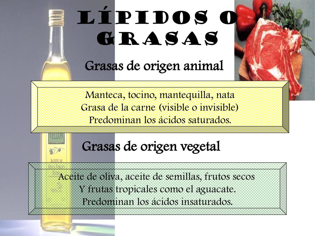 Lípidos o grasas Grasas de origen animal Grasas de origen vegetal