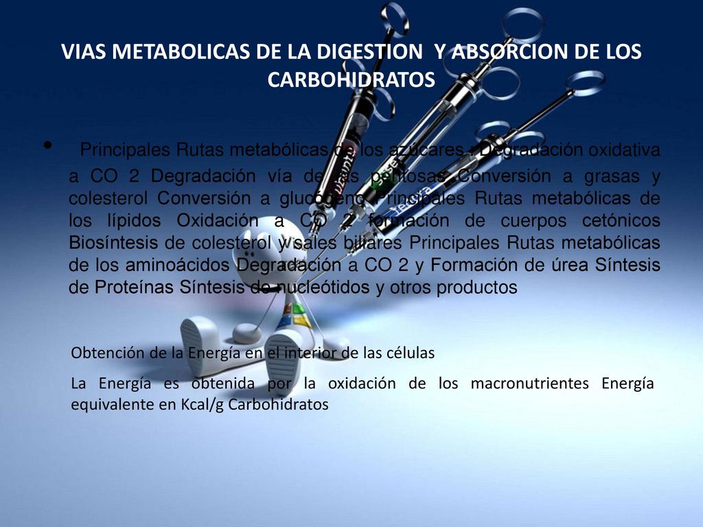 VIAS METABOLICAS DE LA DIGESTION Y ABSORCION DE LOS CARBOHIDRATOS