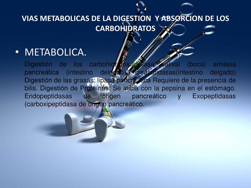 VIAS METABOLICAS DE LA DIGESTION Y ABSORCION DE LOS CARBOHIDRATOS