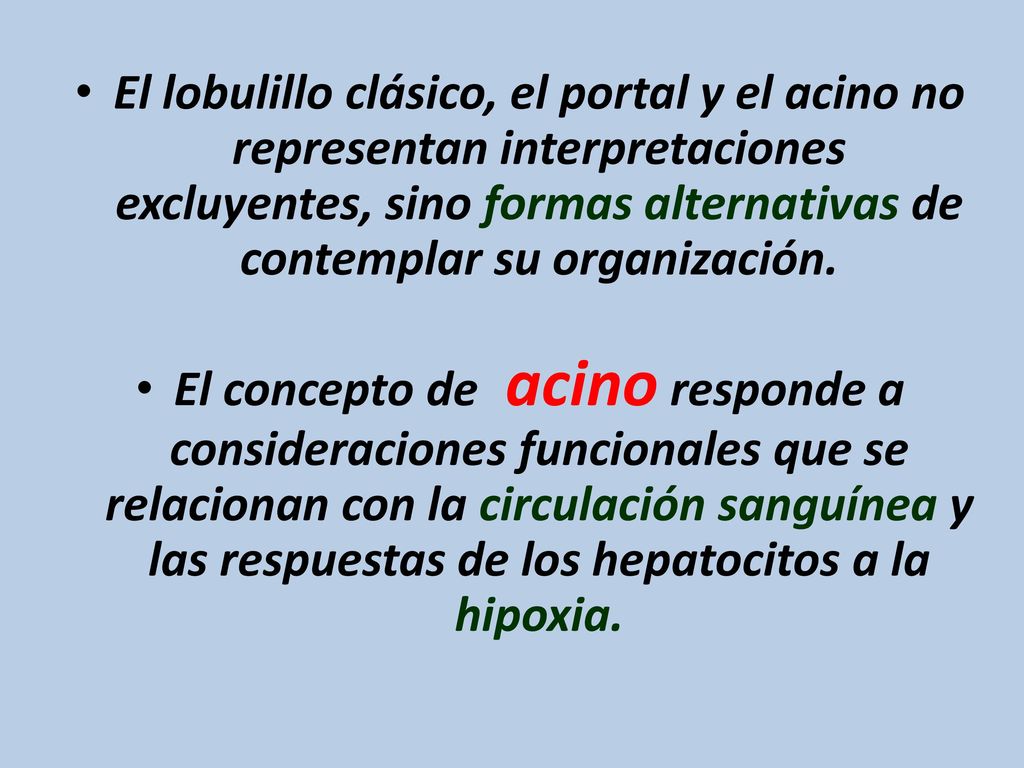 El lobulillo clásico, el portal y el acino no representan interpretaciones excluyentes, sino formas alternativas de contemplar su organización.