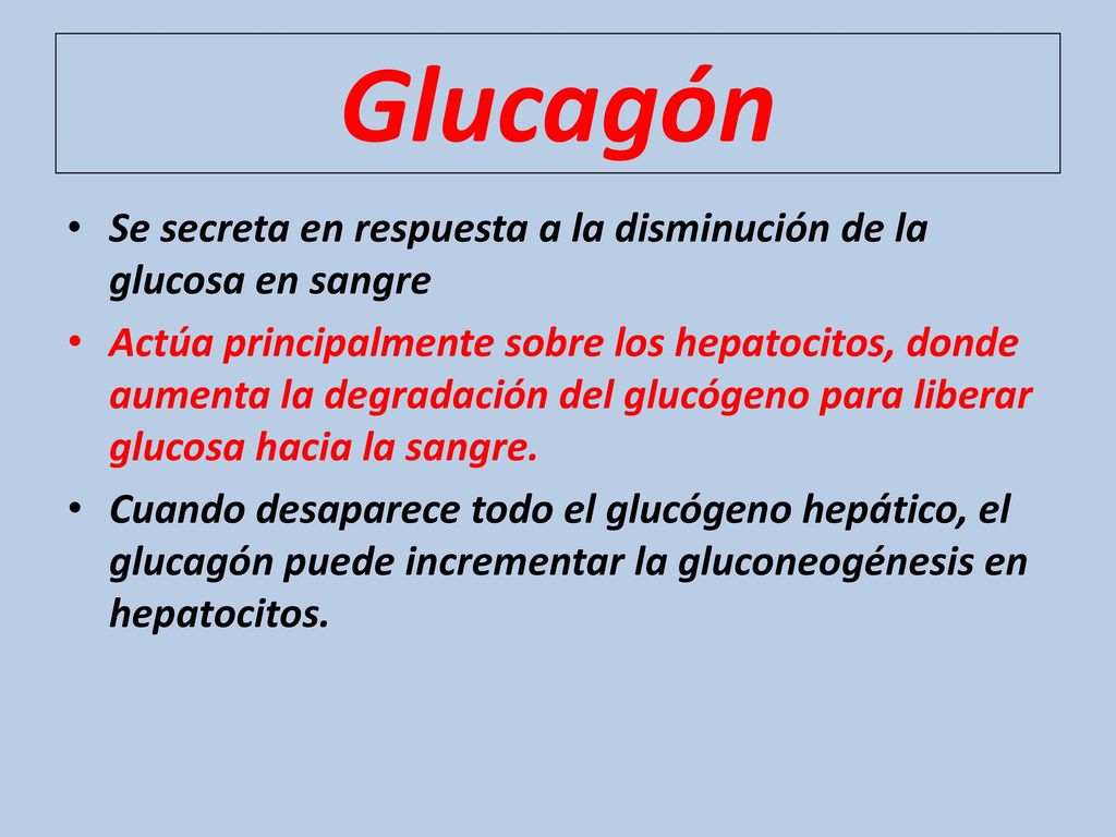Glucagón Se secreta en respuesta a la disminución de la glucosa en sangre.