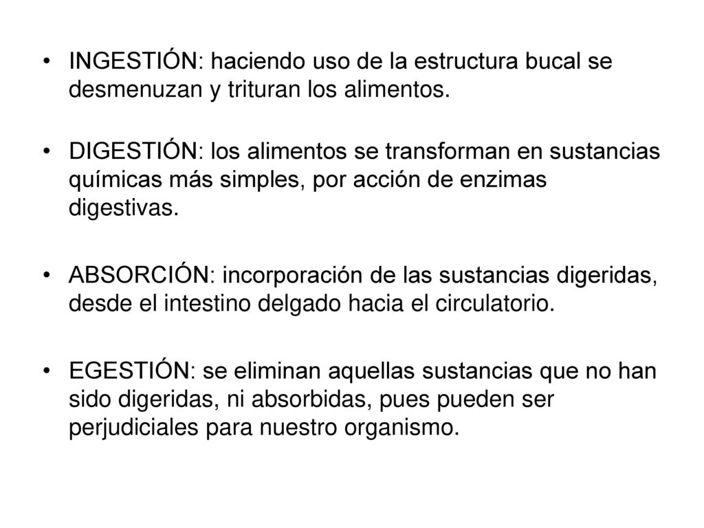 INGESTIÓN: haciendo uso de la estructura bucal se desmenuzan y trituran los alimentos.