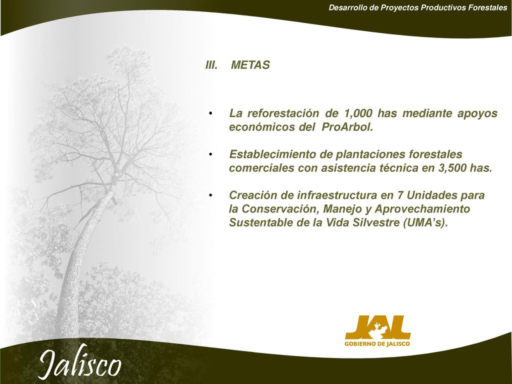 La reforestación de 1,000 has mediante apoyos económicos del ProArbol.
