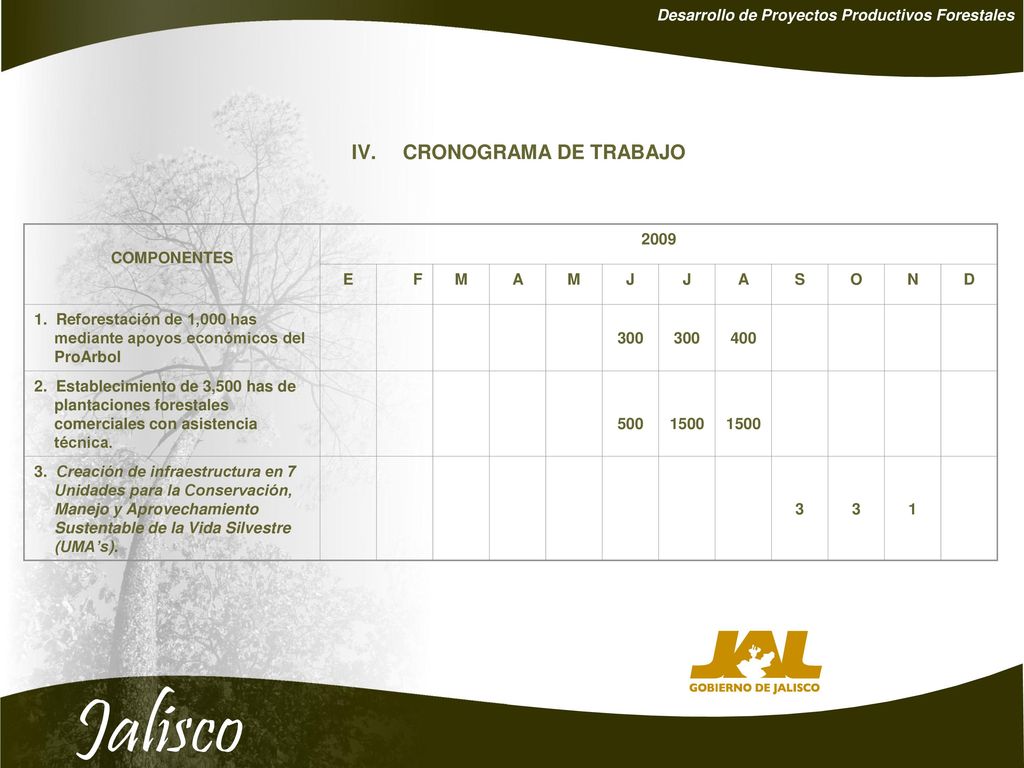 CRONOGRAMA DE TRABAJO Desarrollo de Proyectos Productivos Forestales