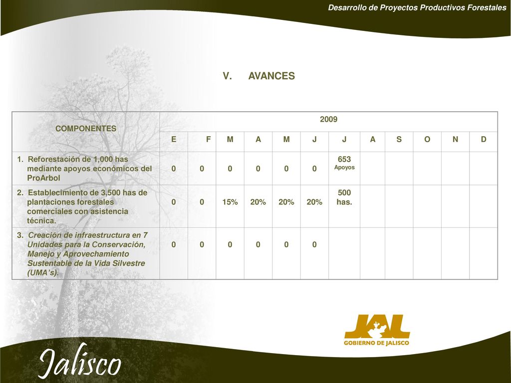 AVANCES Desarrollo de Proyectos Productivos Forestales COMPONENTES