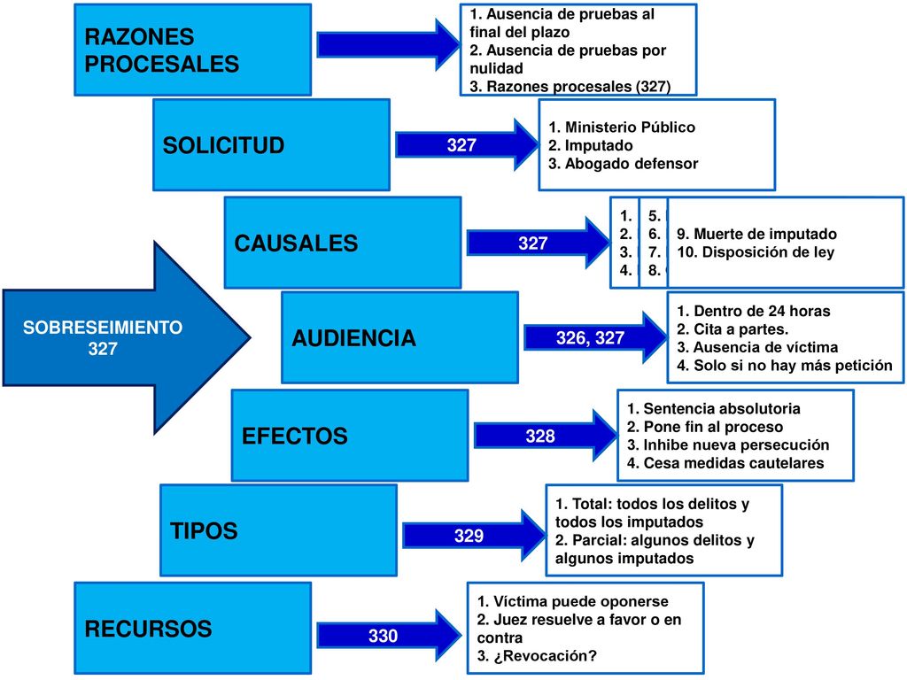 RAZONES PROCESALES SOLICITUD CAUSALES AUDIENCIA EFECTOS TIPOS RECURSOS