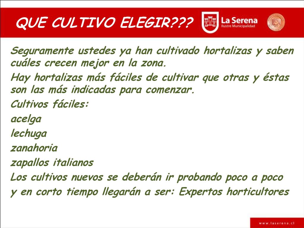 QUE CULTIVO ELEGIR Seguramente ustedes ya han cultivado hortalizas y saben cuáles crecen mejor en la zona.