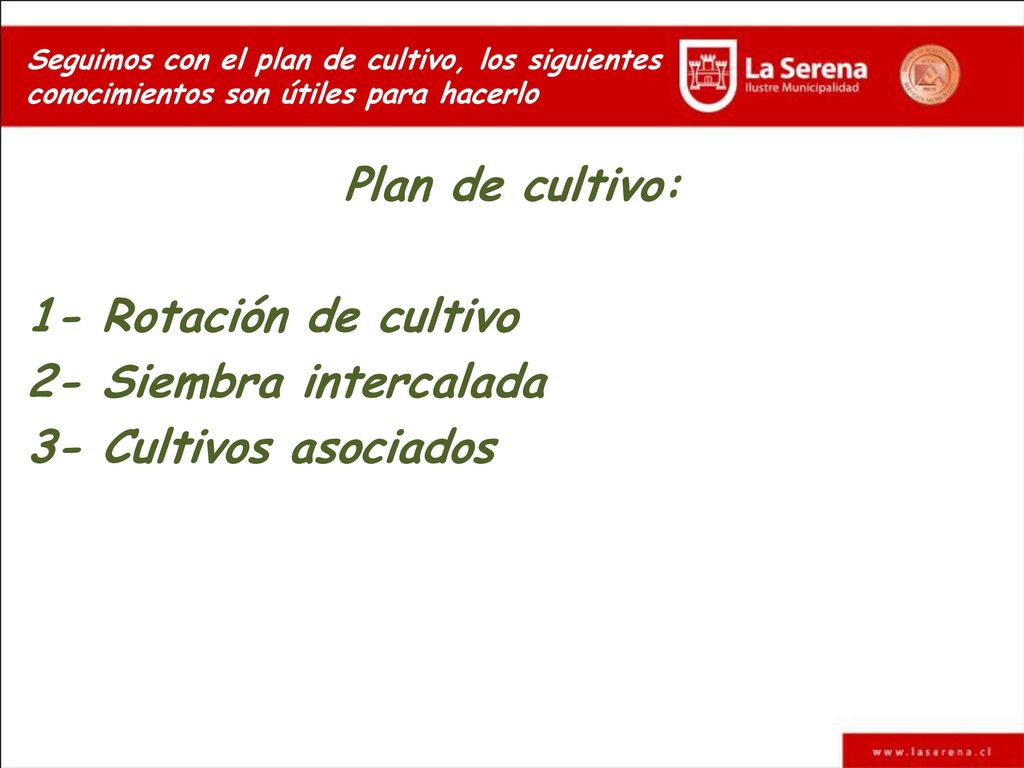 Plan de cultivo: 1- Rotación de cultivo 2- Siembra intercalada