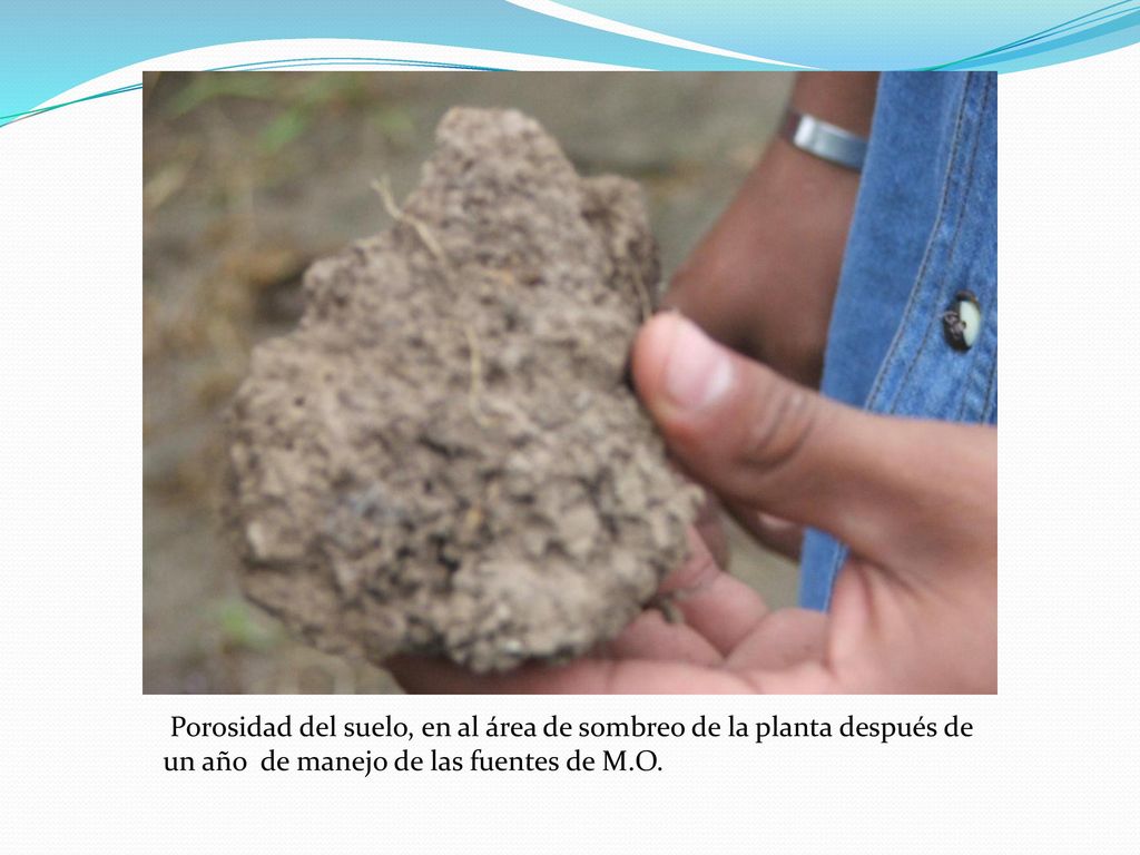 Porosidad del suelo, en al área de sombreo de la planta después de un año de manejo de las fuentes de M.O.