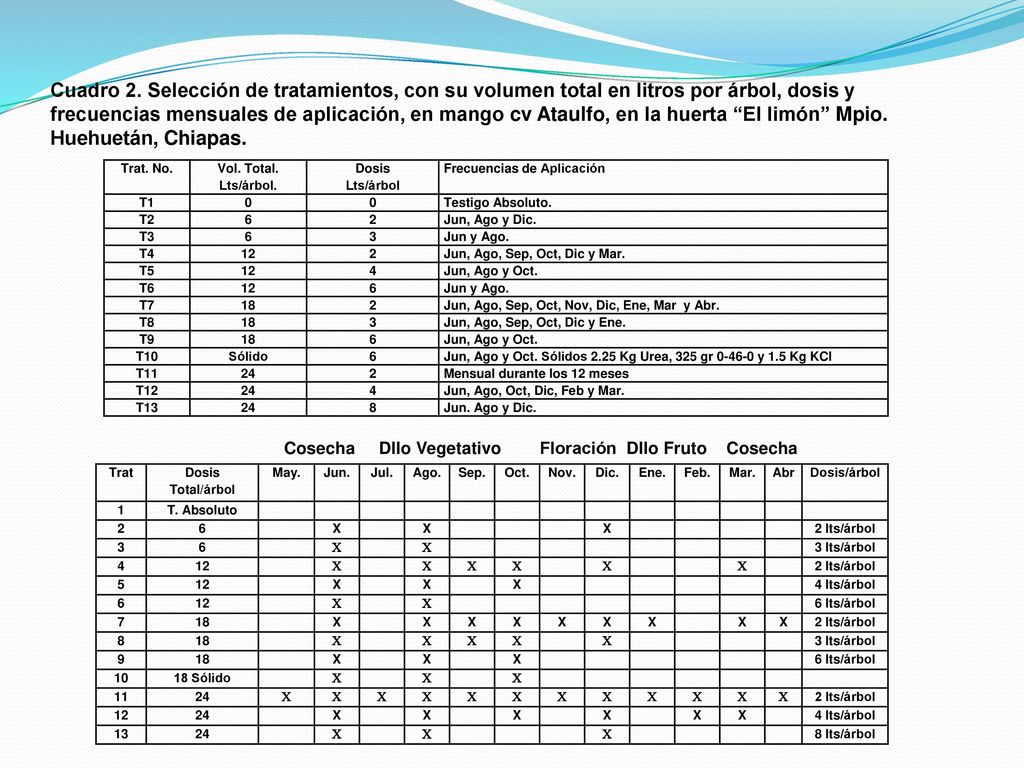 Cuadro 2. Selección de tratamientos, con su volumen total en litros por árbol, dosis y frecuencias mensuales de aplicación, en mango cv Ataulfo, en la huerta El limón Mpio. Huehuetán, Chiapas.