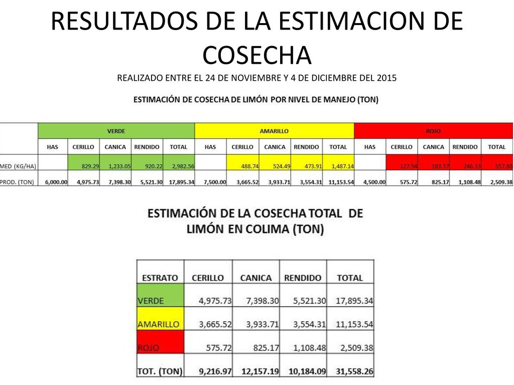 RESULTADOS DE LA ESTIMACION DE COSECHA REALIZADO ENTRE EL 24 DE NOVIEMBRE Y 4 DE DICIEMBRE DEL 2015