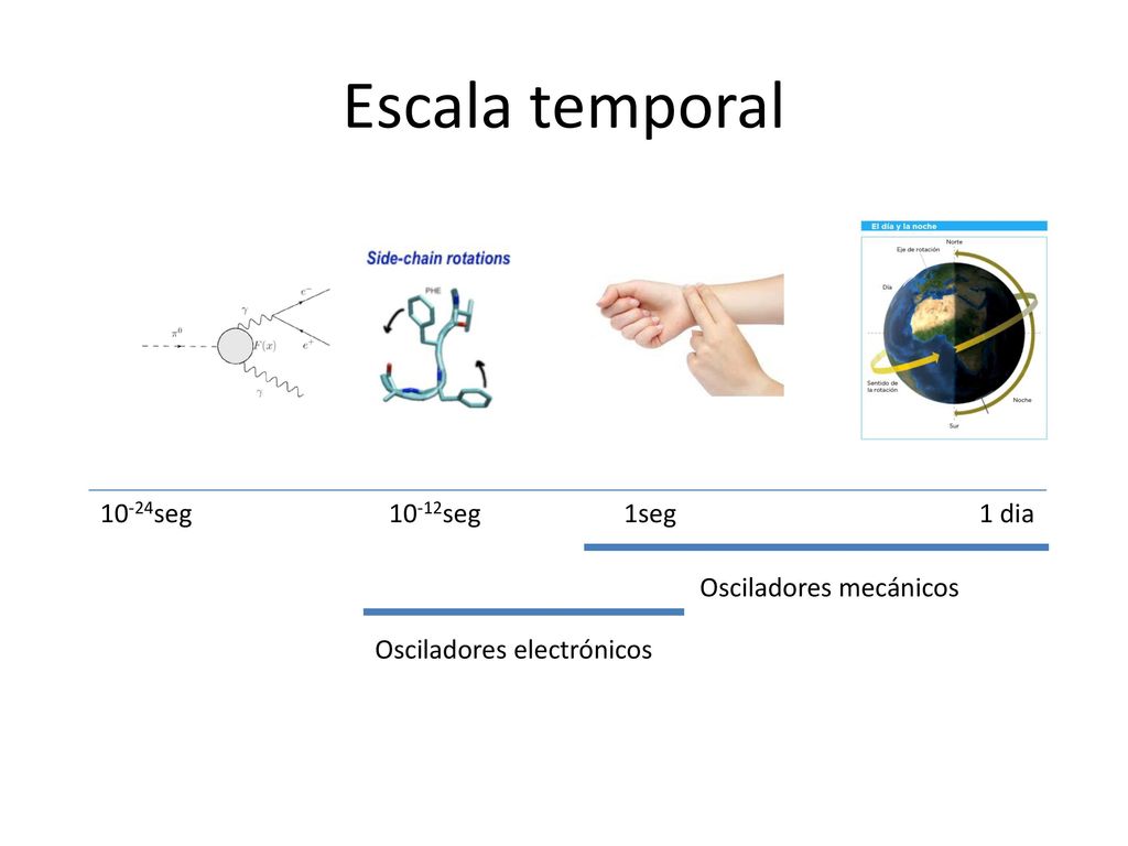 Escala temporal 10-24seg 10-12seg 1seg 1 dia Osciladores mecánicos