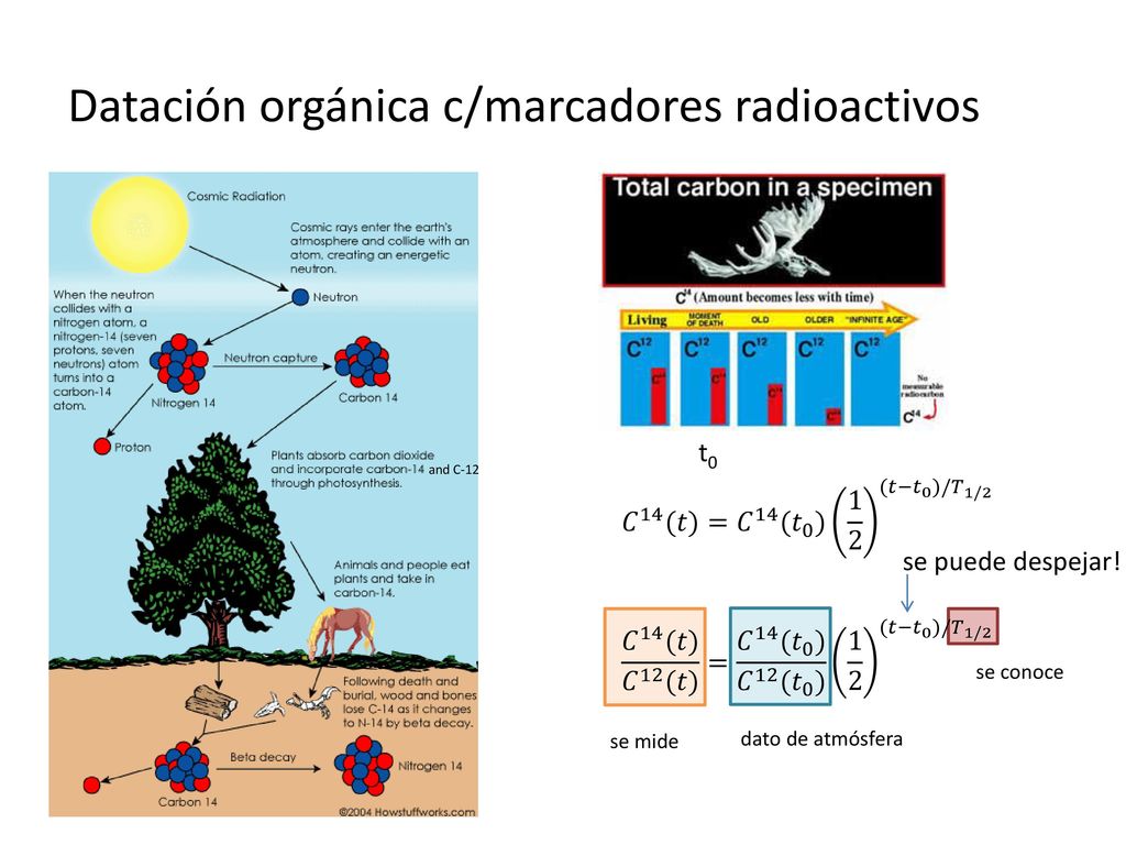 Datación orgánica c/marcadores radioactivos