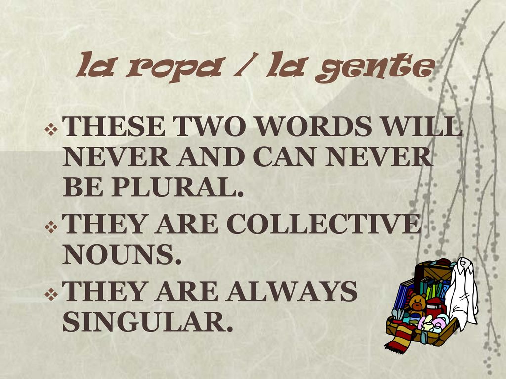 la ropa / la gente THESE TWO WORDS WILL NEVER AND CAN NEVER BE PLURAL.