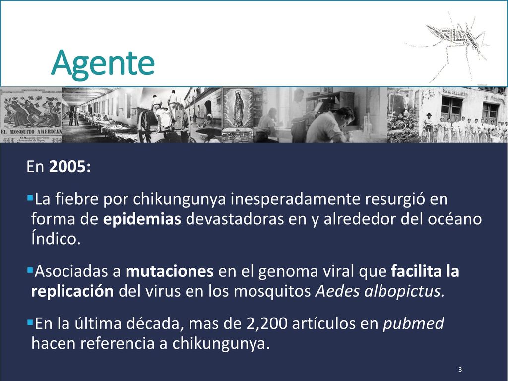 Agente En 2005: La fiebre por chikungunya inesperadamente resurgió en forma de epidemias devastadoras en y alrededor del océano Índico.