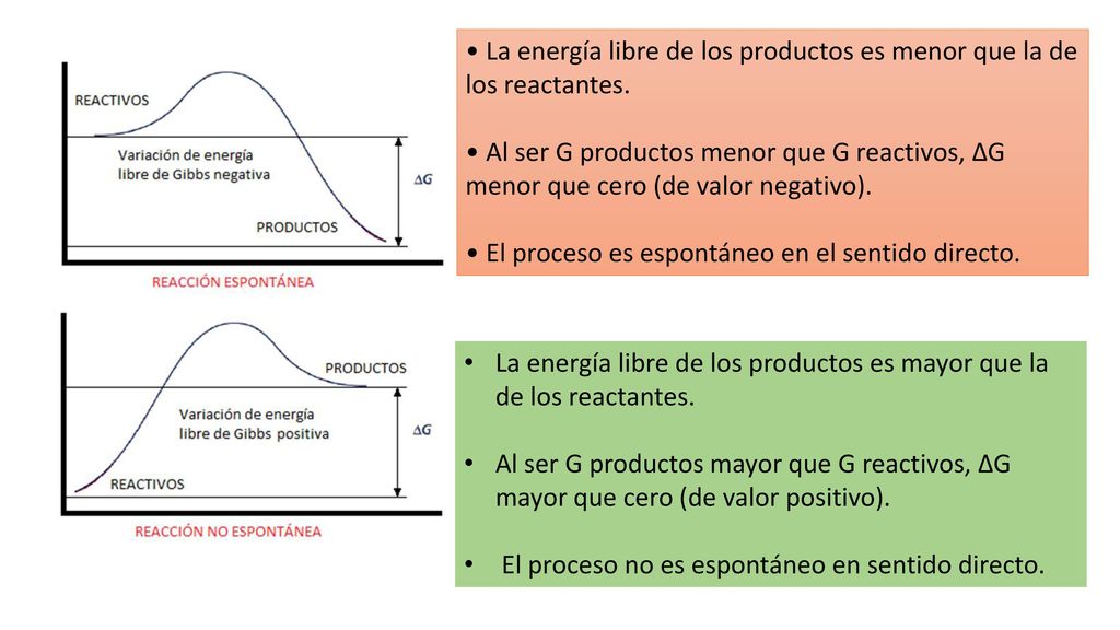 • La energía libre de los productos es menor que la de los reactantes.