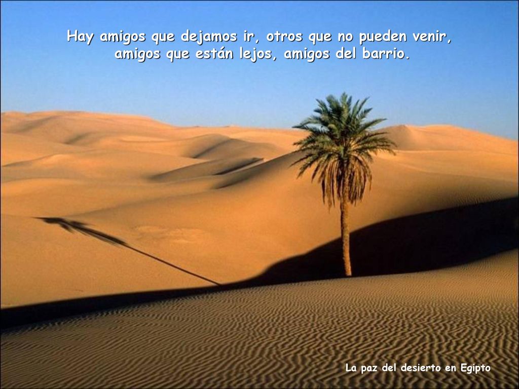 Hay amigos que dejamos ir, otros que no pueden venir,