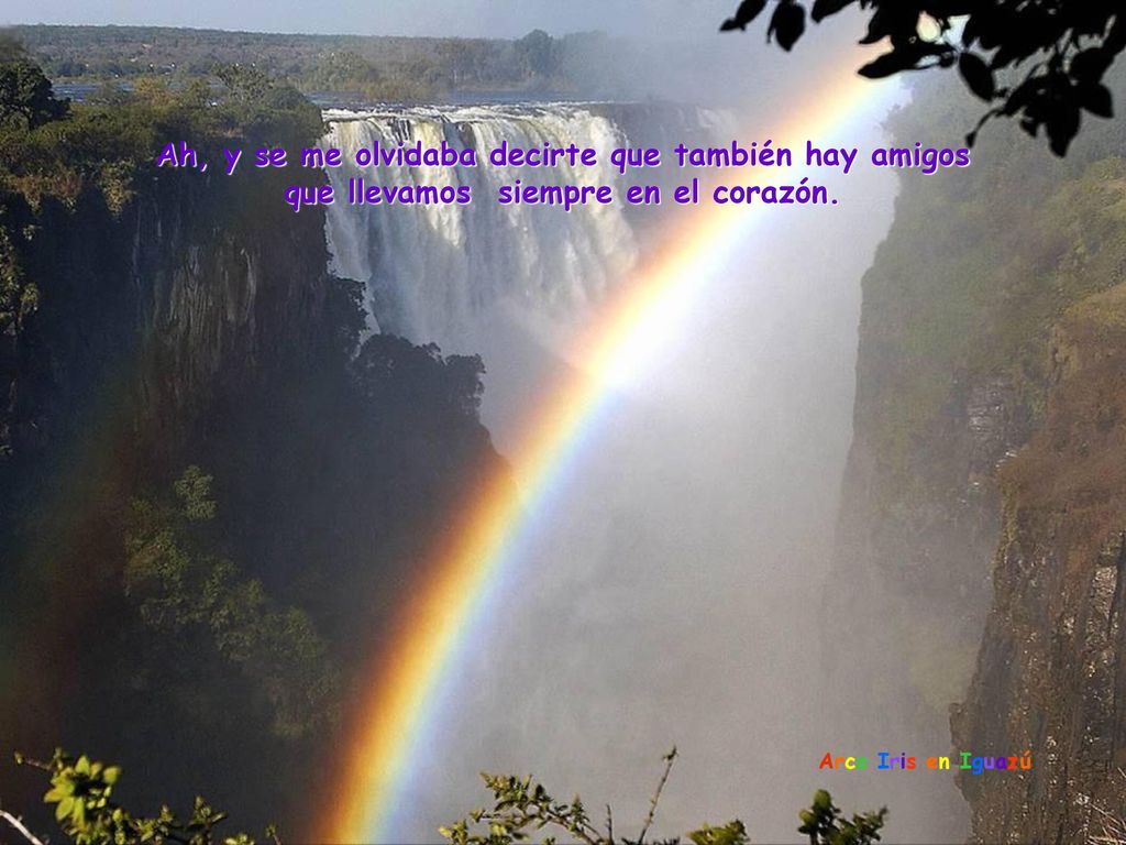Ah, y se me olvidaba decirte que también hay amigos